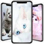 Cover Image of Download Cute Cat Wallpaper 4.0 APK