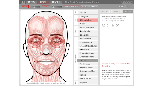 Artnatomya (english) Screen 2