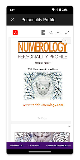 World Numerology Collection II Screen 3