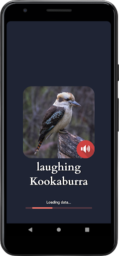 Android application Laughing Kookaburra Sounds screenshort