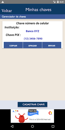 Pix chaves e transferências Screen 3