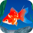 Goldfish 3D Relaxing Aquarium1.90