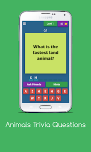 Animals Trivia Questions