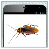 Cockroach on your Screen Prank icon