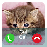Prank Call Cat Joke icon