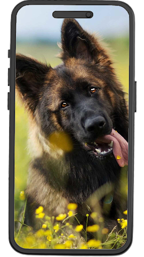 German Shepherd Wallpapers Screen 3