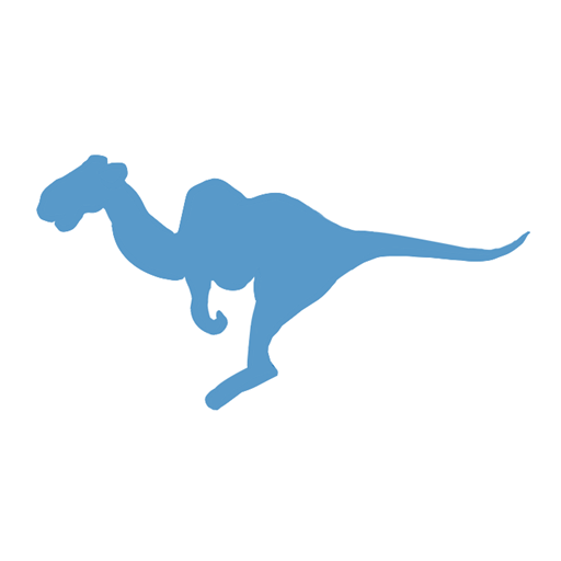 BlueCamroo logo