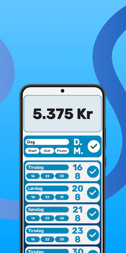 Din Løn Screen 3