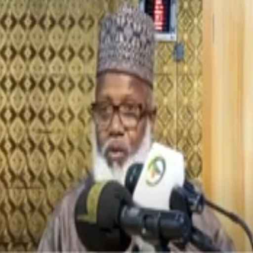 Prof. Mansur Ibrahim logo