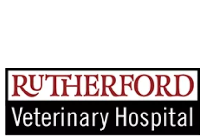 10+ Rutherford Children'S Care