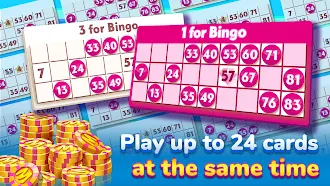 Game screenshot Bingo Rider - Casino Game apk download