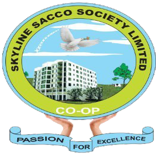 SkyChapaa logo