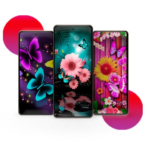 Butterfly Wallpapers 4k-HD Download on Windows