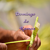 Domingo de Ramos icon