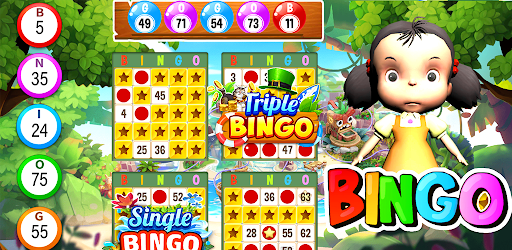 Bingo Play: Bingo Offline Fun cover