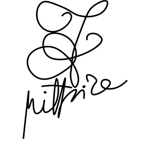 Franca Fabrizio logo