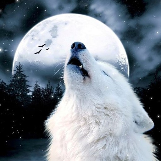 Wolf Wallpapers logo