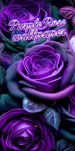 фиолетовые розы обои