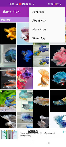 Betta Fish Wallpaper Screen 2