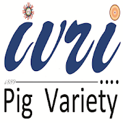 IVRI - Landlly Pig App