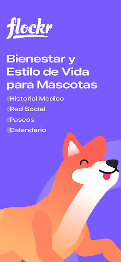 Vista previa de la aplicación