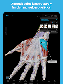 Captura de Pantalla 13 Atlas de anatomía humana 2023 android