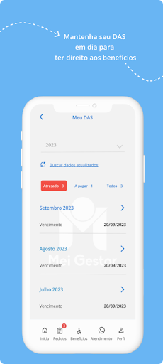 MEI Gestor: Abrir MEI, DAS Screen 3
