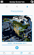 screenshot of USA Weather forecast