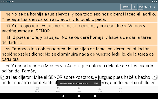 Bible Reina Valera screenshot 8