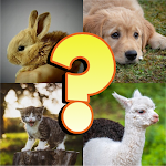 Cover Image of 下载 Baby Animals Quiz  APK
