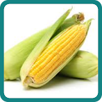 Guess the Vegetable