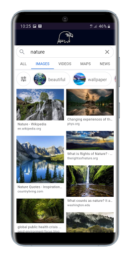 Eagle Browser Screen 3