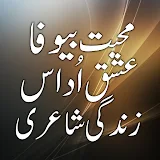 Bewafa Ishaq Mohabbat Poetry icon