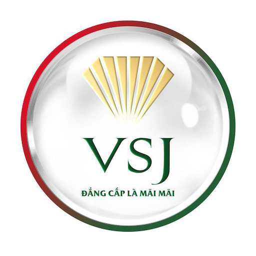 CRM VSJ logo