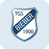TGS Offenbach Bieber icon