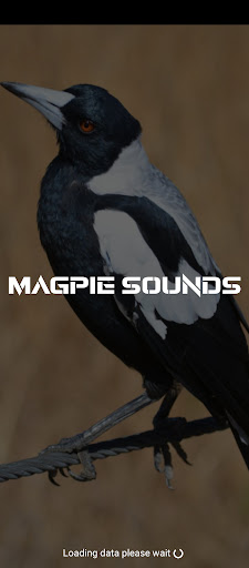 Android application magpie sounds screenshort