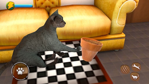Cat Simulator 2021 Virtual Cat Life 2021