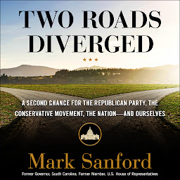 Icon image Two Roads Diverged: A Second Chance for the Republican Party, the Conservative Movement, the Nation - and Ourselves
