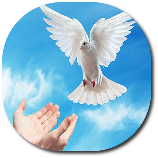 Espiritu Santo logo