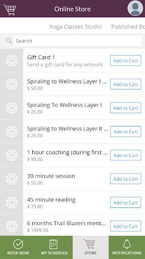 Nourishing Storm Wellness Co Screen 3