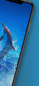 Dolphin Wallpaper Animal