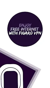 Figaro VPN