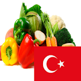 Learn Vegetables in Turkish icon