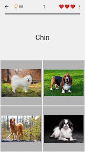 Perros: Foto-quiz sobre razas Screenshot