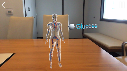 SGLT2 & GLP-1 in Diabetes Screen 2