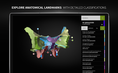 Anatomyka MOD APK- 3D Anatomy Atlas (Unlocked) Download 10
