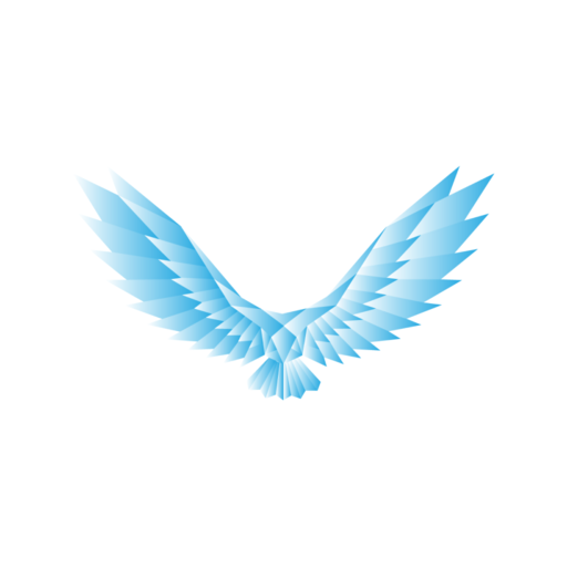 Dan Martine Coaching logo