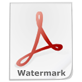 WaterMark2Pdf icon