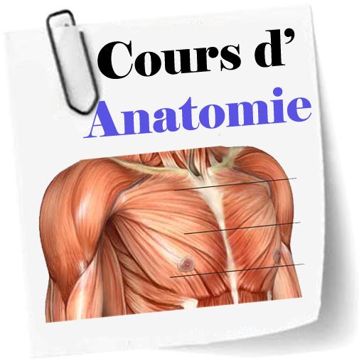 Cours d’Anatomie