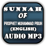 SUNNA - Prophet (S A W)'s Path icon